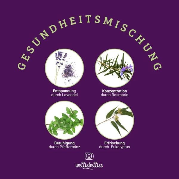 COSELLE Wärmegürtel mit Bio-Hirse Füllung, für Rücken, Bauch oder Unterleib, bis zu 90 min. Wärme