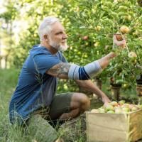 Vorschau: BAUERFEIND EpiTrain Ellenbogen-Aktivbandage mit Epicon+ Pads für Tennisarm u. Golferarm