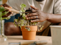 Vorschau: RINGCONN Smart Ring Gen2 Smarter Ring mit Zusatzfunktion: Schlaf-Apnoe-Erkennung