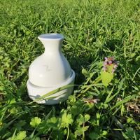 Vorschau: ergoleben Akku Kopfmassagegerät mit 4 Massageköpfen, verschiedene Modi und spritzwassergeschützt