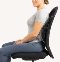 Vorschau: Swedish Posture Back Rest Support Rückenlehne Lendenwirbelstütze