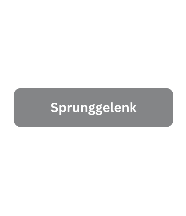 Sprunggelenk Beschwerden yhf