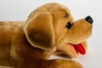 Vorschau: RobiCare® Aktivwelpe Plüschtier "Puppy" Demenz-Therapiewelpe