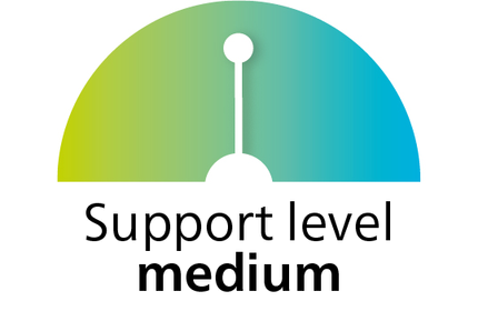 mobilis by SIGVARIS GROUP MalleoActive Band Sprunggelenkbandage mittlere Stabilisierung stützt das S