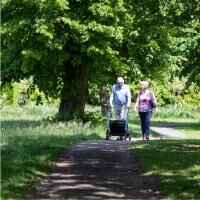 Vorschau: SALJOL Rollz Motion 2in1 Rollator o. Transportrollstuhl mit Trommelbremsen u. Ankipphilfe, faltbar