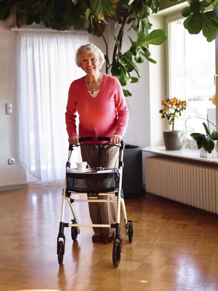 RIDDER Wohnraum-Rollator Pit zusammenklappbar mit Hand- und Feststellbremse