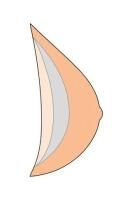 Vorschau: amoena Natura Cosmetic 2SN Brustprothese, Leichtprothese, mittlere Brustform, symmetrisch