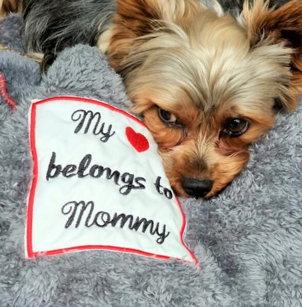 Nanobionic® Haustierdecke mit Infrarot-Technologie 100 x 80cm