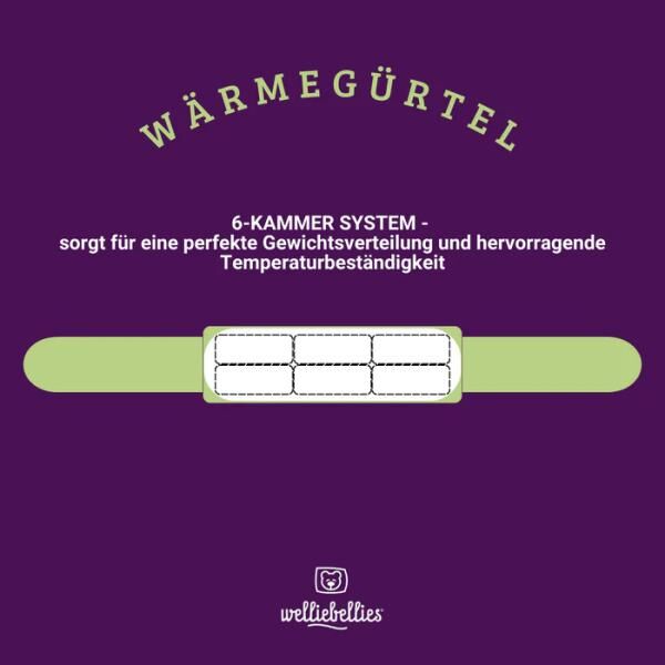 COSELLE Wärmegürtel mit Bio-Hirse Füllung, für Rücken, Bauch oder Unterleib, bis zu 90 min. Wärme