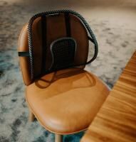 Vorschau: Swedish Posture Back Rest Support Rückenlehne Lendenwirbelstütze