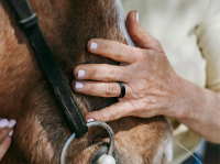 Vorschau: RINGCONN Smart Ring Gen2 Smarter Ring mit Zusatzfunktion: Schlaf-Apnoe-Erkennung