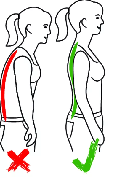 Hydas Geradehalter mit Stützgürtel korrigiert schlechte Körperhaltung, Taillenumfang bis 115 cm