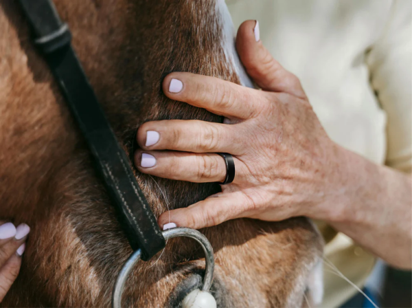 RINGCONN Smart Ring Gen2 Smarter Ring mit Zusatzfunktion: Schlaf-Apnoe-Erkennung