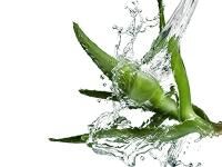 Vorschau: ofa Memory Kompressionsstrümpfe (KKL2) mit pflegendem Aloe Vera u. Vitamin E in versch. Längen