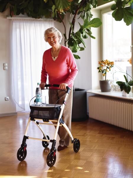 RIDDER Wohnraum-Rollator Pit zusammenklappbar mit Hand- und Feststellbremse