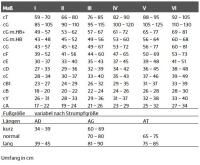Vorschau: THUASNE VENOFELX Elegance langlebige Kompressionsstrümpfe (KKL2) mit Microfaseranteil