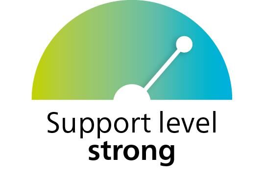 mobilis by SIGVARIS GROUP RhizoSupport Daumenschiene für hohe Stabilisierung mit Fixierungsstäben