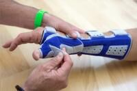 Vorschau: MANULOC_RHIZO