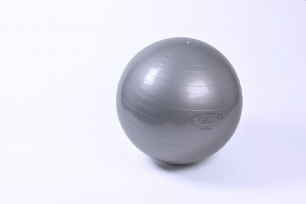 Rehforum Gymnastikball RFM 65cm silber