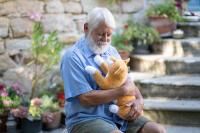 Vorschau: RobiCare® interaktive Therapiekatze "orange-weiß" Demenz-Plüschtier, mit Bewegungssensor